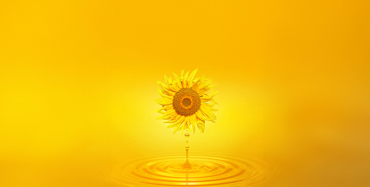 Ayçiçek Yağı Dökme Taşımacılığında Yeni Dönem: Yüksek Kapasiteli Flexitank’ler Navlun Verimliliğini Nasıl Değiştiriyor?