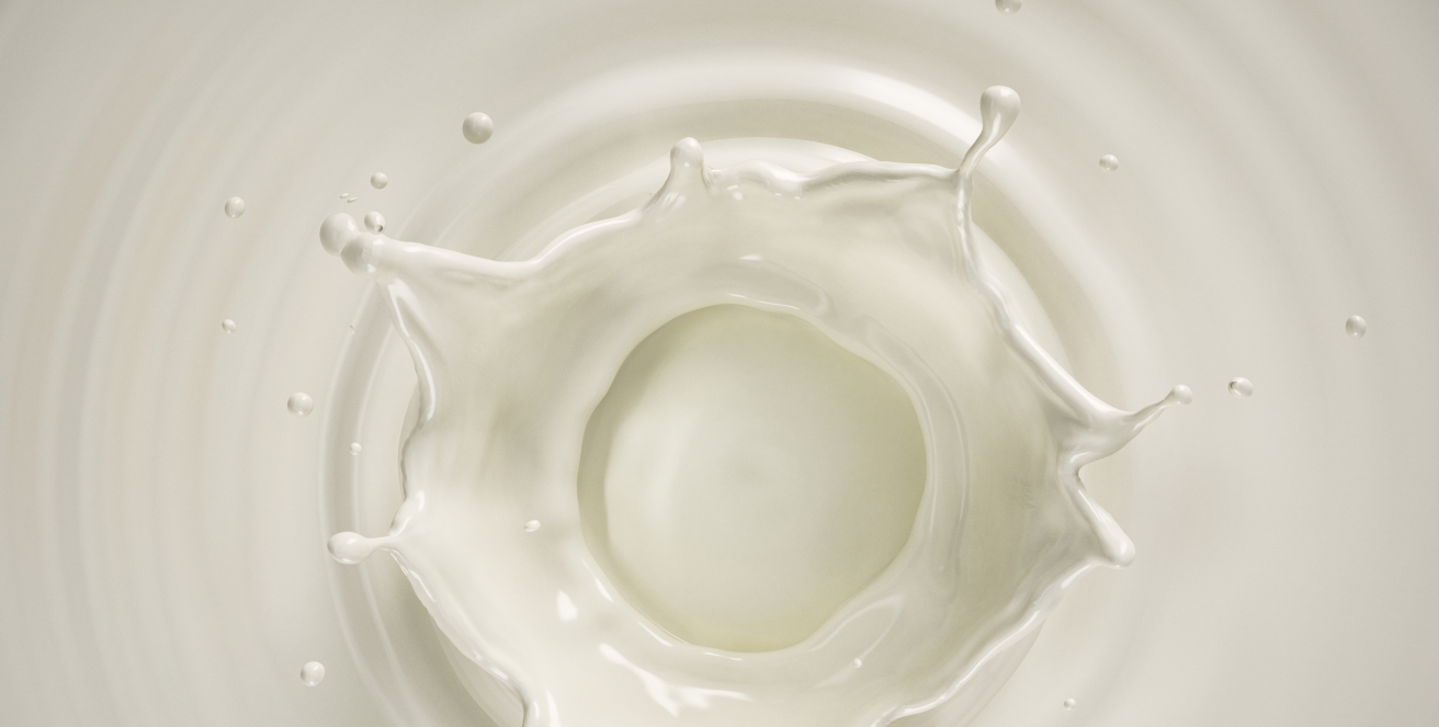 Milk Oversupply Fresh Milk Export May Be a Better Alternative Than Milk Powder