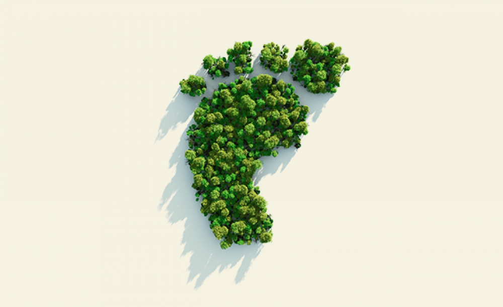 A Solution For Reducing Your Carbon Footprint With Flexitank Shipments